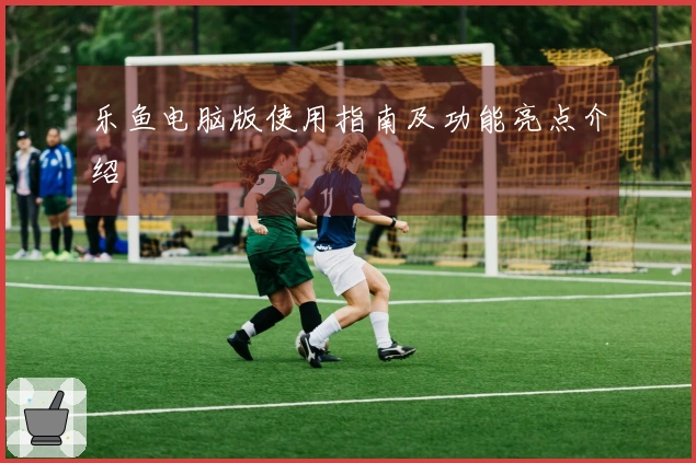 乐鱼电脑版使用指南及功能亮点介绍