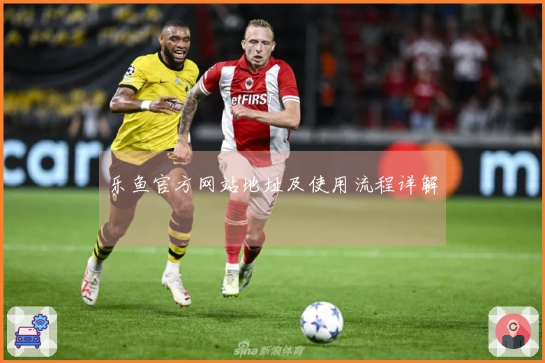 乐鱼官方网站地址及使用流程详解