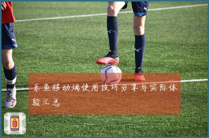 乐鱼移动端使用技巧分享与实际体验汇总