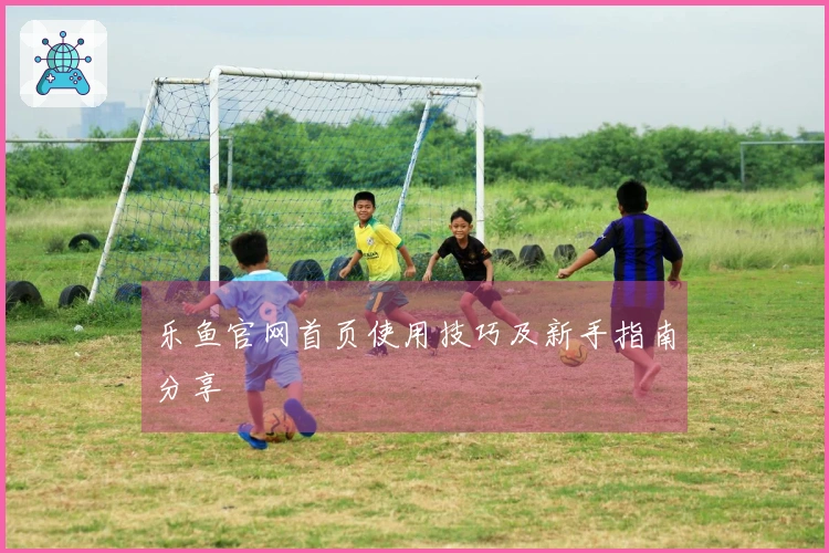 乐鱼官网首页使用技巧及新手指南分享