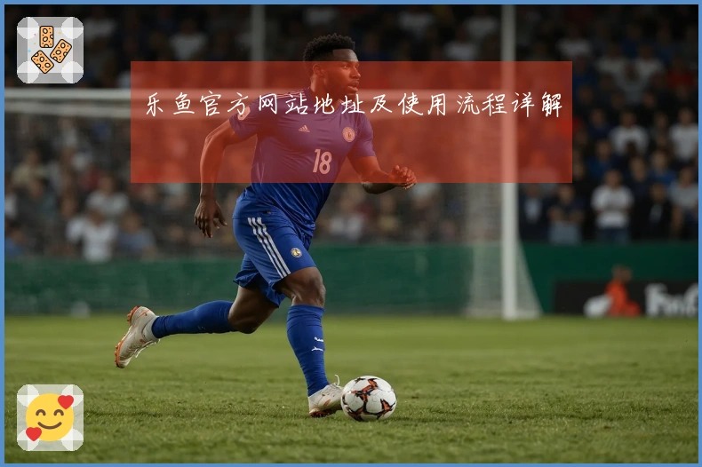 乐鱼官方网站地址及使用流程详解