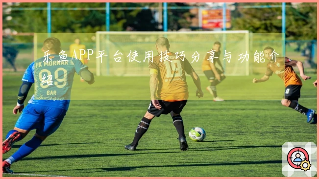 乐鱼APP平台使用技巧分享与功能介绍