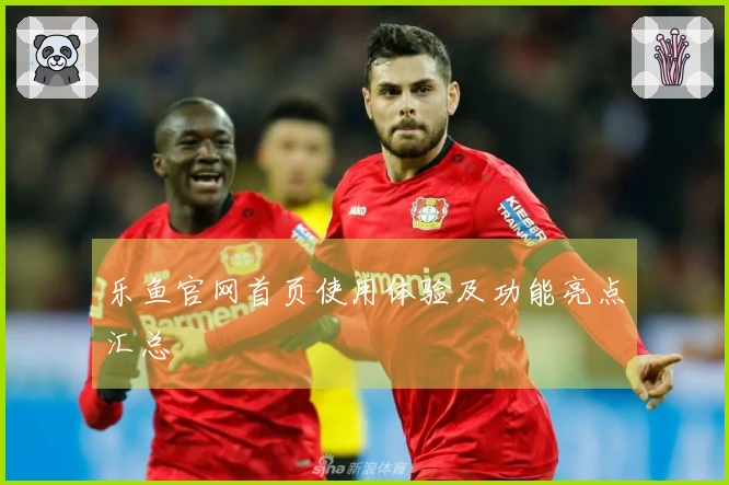 乐鱼官网首页使用体验及功能亮点汇总